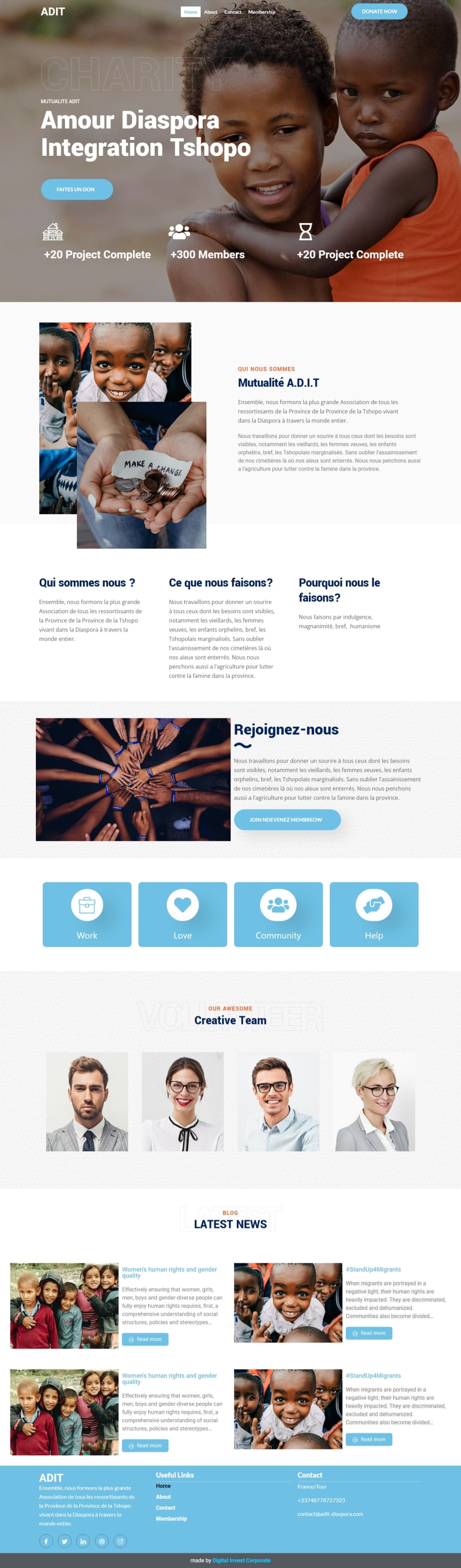 Digital Invest Corporate Web Development Project ADIT DIASPORA