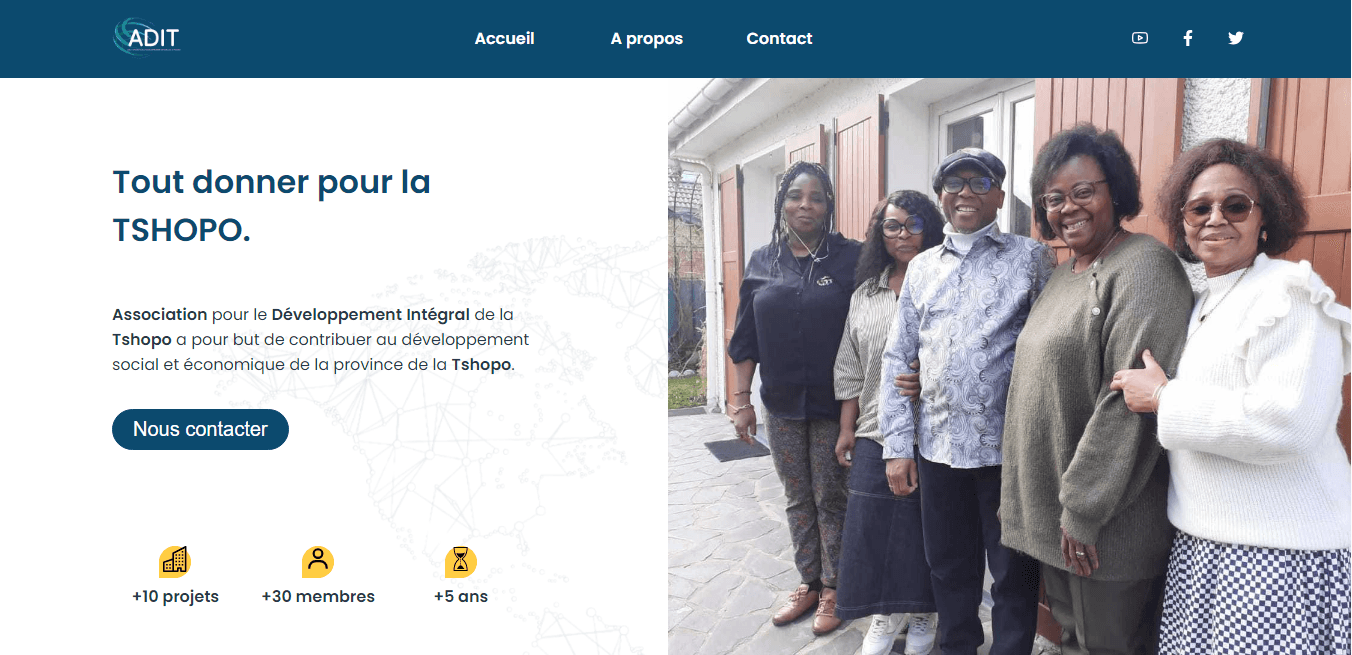 Digital Invest Corporate Web Development Project ADIT DIASPORA